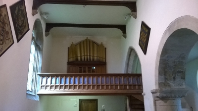 Organ View